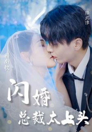 《闪婚总裁太上头》